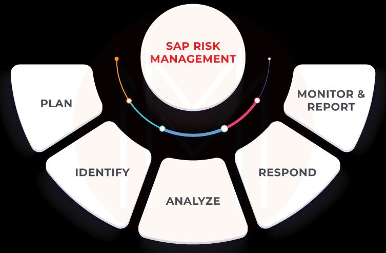 SAP Risk Management