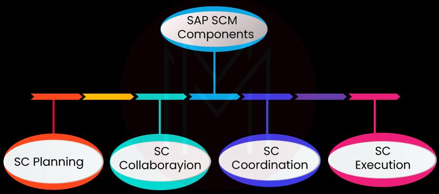 Components of SAP SCM