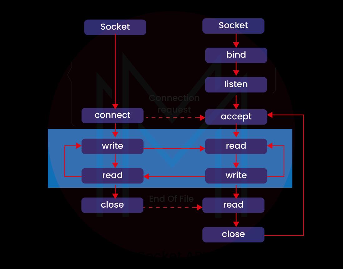 Socket Programming in Java