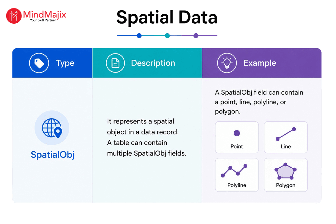 Spatial Data