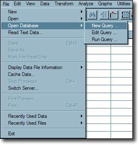 Import Excel Database Into SPSS