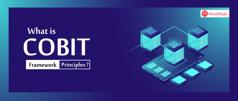 What is COBIT Framework - COBIT Principles ?