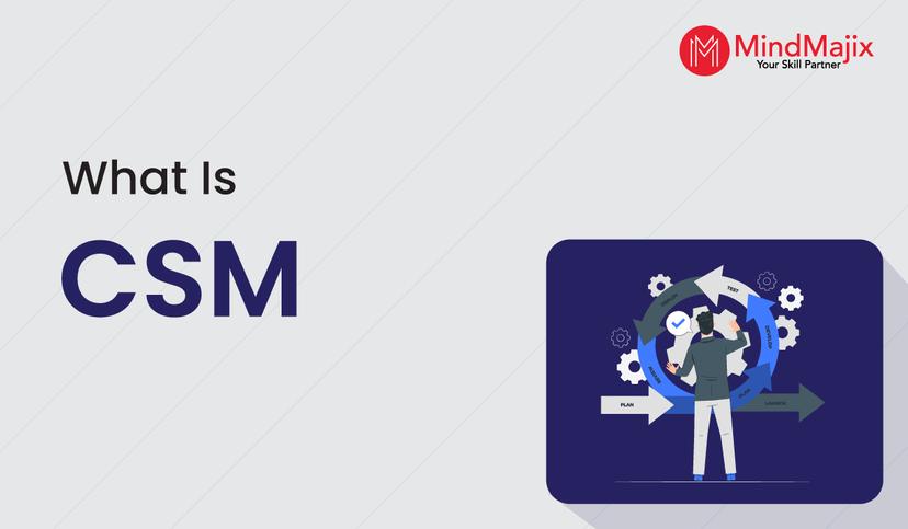 What is CSM