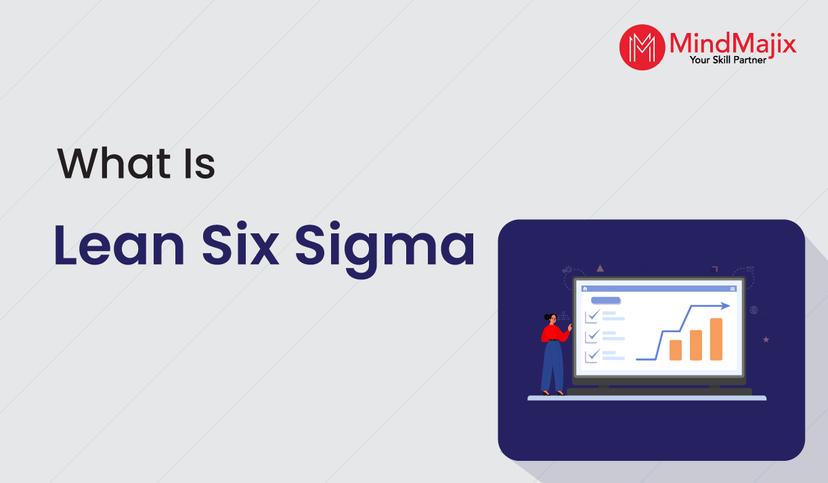 What is Lean Six Sigma - The Definitive Guide