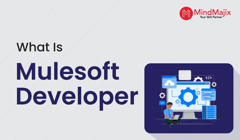 What is MuleSoft Developer?