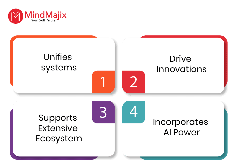 NetSuite Advantages
