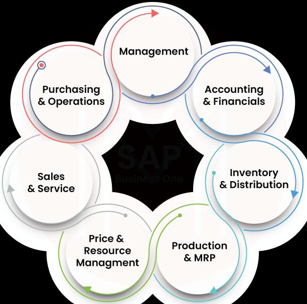 What is SAP Business One