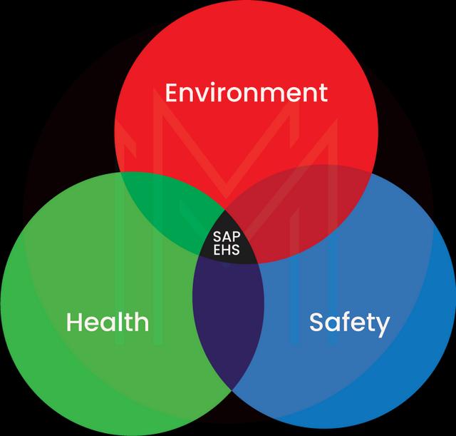 What is SAP EHS?
