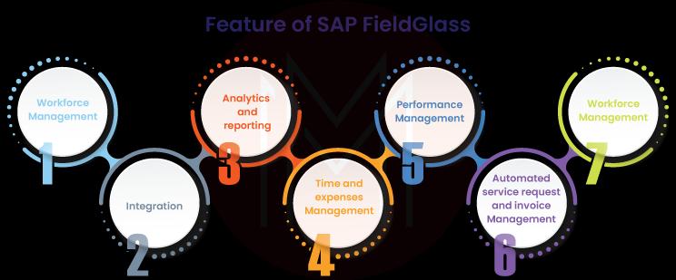 Features of SAP Fieldglass