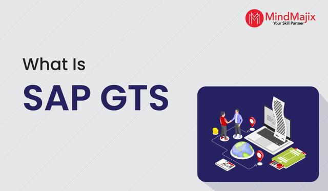 What is SAP GTS?