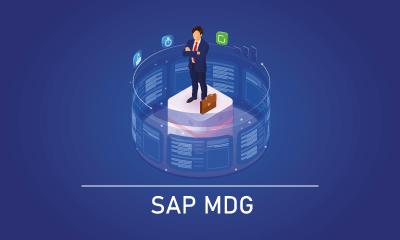 SAP MDG Training