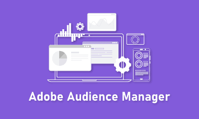 Adobe Audience Manager Training