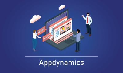 AppDynamics Training