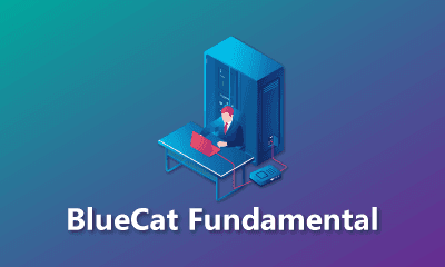 BlueCat Fundamental Training