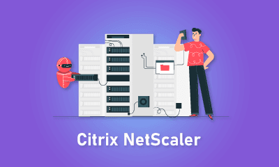 Citrix NetScaler Training