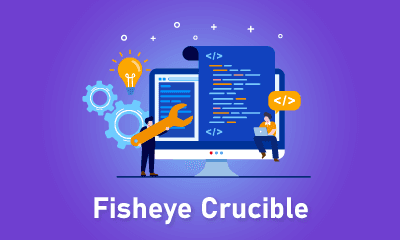 Fisheye Crucible Training
