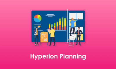 Hyperion Planning Training
