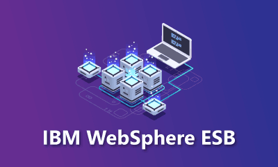 IBM WebSphere ESB Training