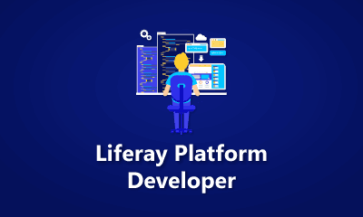 Liferay Platform Developer Training
