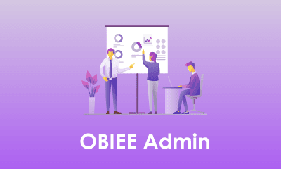 OBIEE Administration Training