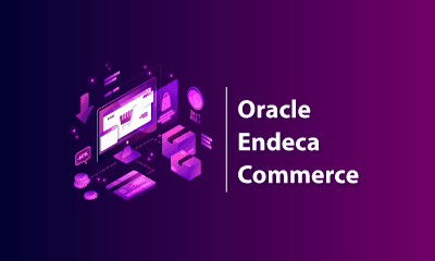 Oracle Endeca Commerce Training