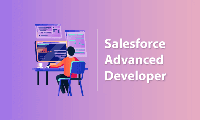 Salesforce Advanced Developer Training