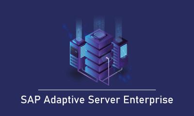 SAP Adaptive Server Enterprise Training