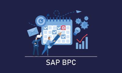 SAP BPC Training