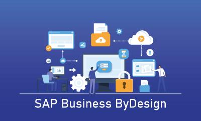 SAP Business ByDesign Training 