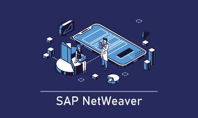 SAP Netweaver Certification Training
