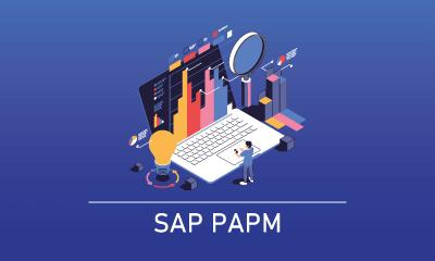 SAP PAPM Training