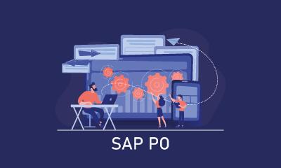 SAP PO Training 