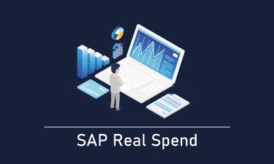 SAP Real Spend Training
