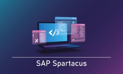 SAP Spartacus Training 
