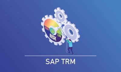 SAP TRM Training