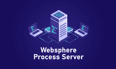 Websphere Process Server Training